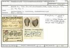 Karteikarte zum Syntyp von Frondicularia leitzendorfensis Karrer, 1870